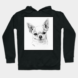 Proud champion smoothcoat chihuahua! Hoodie